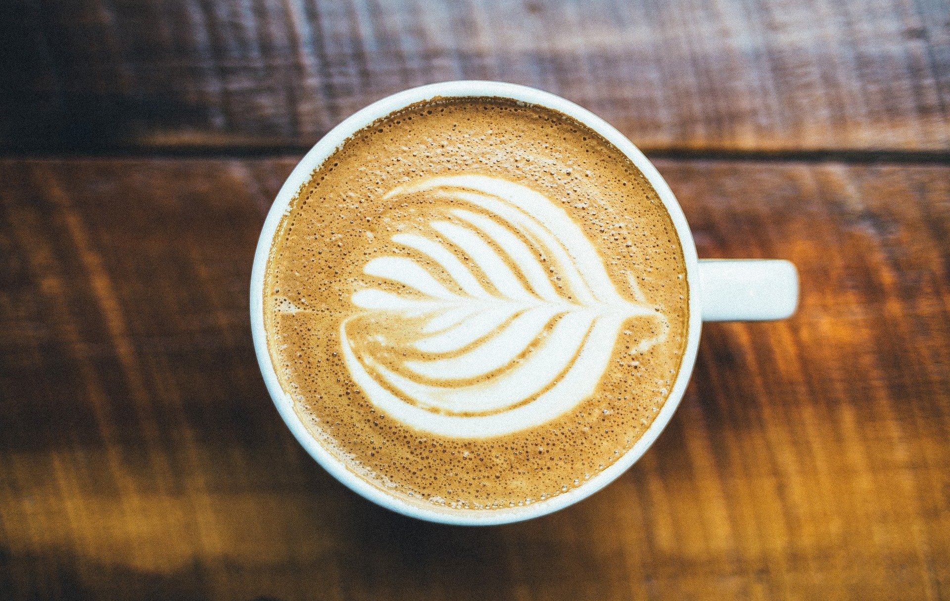 Cafe Berg – Kto poprowadzi kawiarnię?