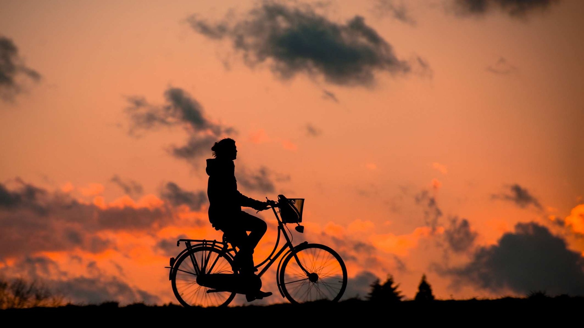 Badanie Klimatu Rowerowego – Wrocław bierze udział