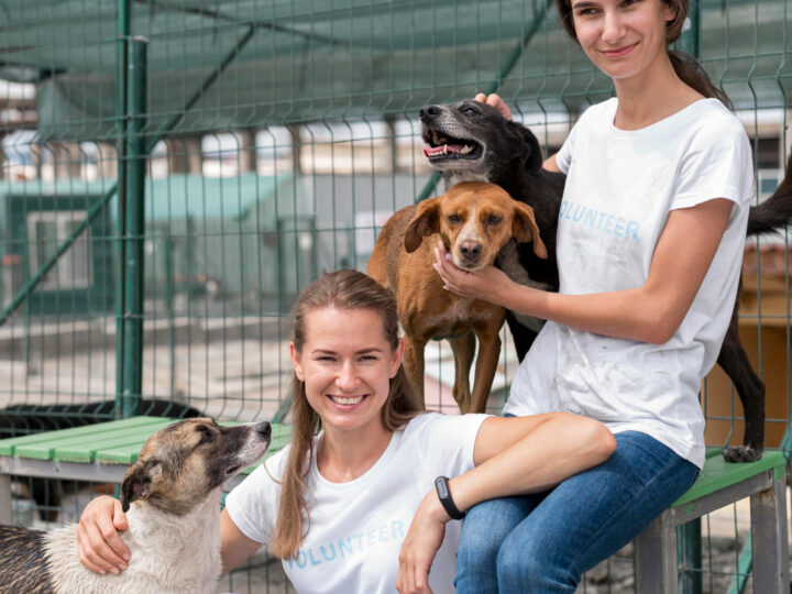 Wizyta Hrabianki Felicitas von Hochberg w wałbrzyskim schronisku dla zwierząt