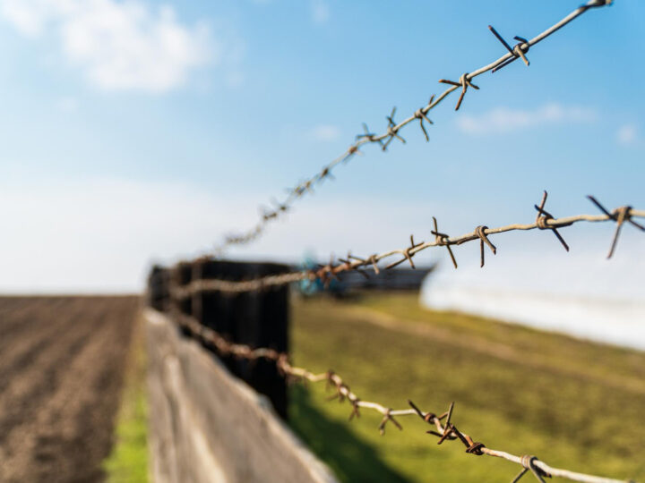 Na Dolnym Śląsku nadal trwa nabór na służbę celno-skarbową