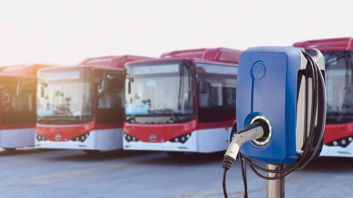 Wrocławska komunikacja miejska przechodzi na zieloną energię: elektryczne autobusy wkraczają na ulice miasta