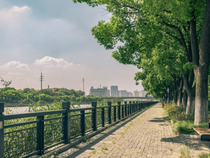 Projekt nowego planu zagospodarowania dla Zielonego Klina Południa we Wrocławiu