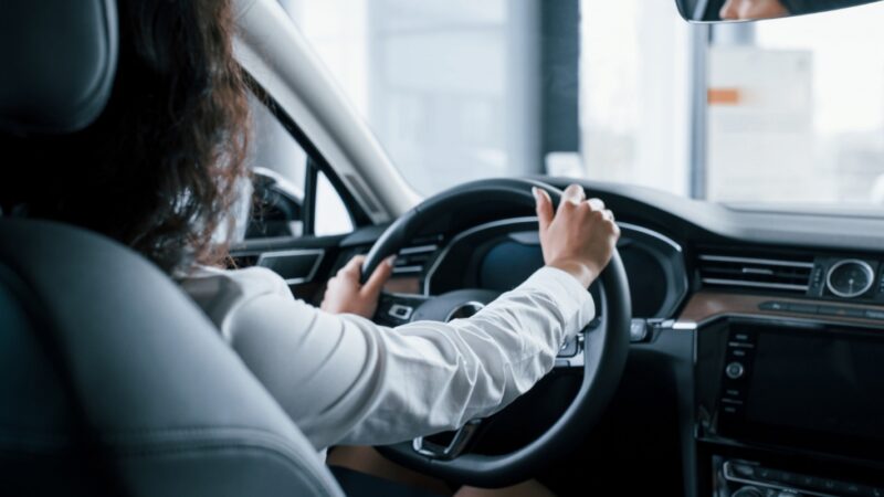 Szczur na przedniej szybie – niecodzienny pasażer na ulicach Wrocławia