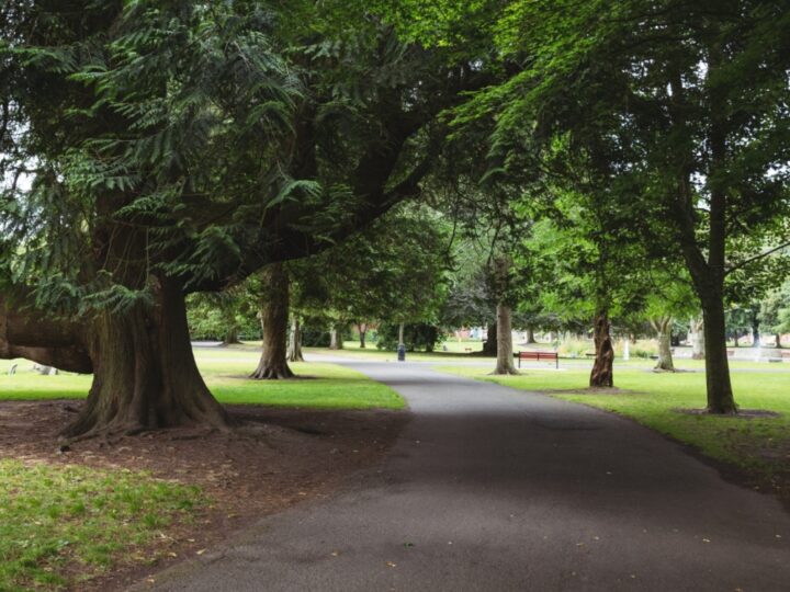 Wrocławski plan na zazielenienie: nowy park wśród rosnących osiedli