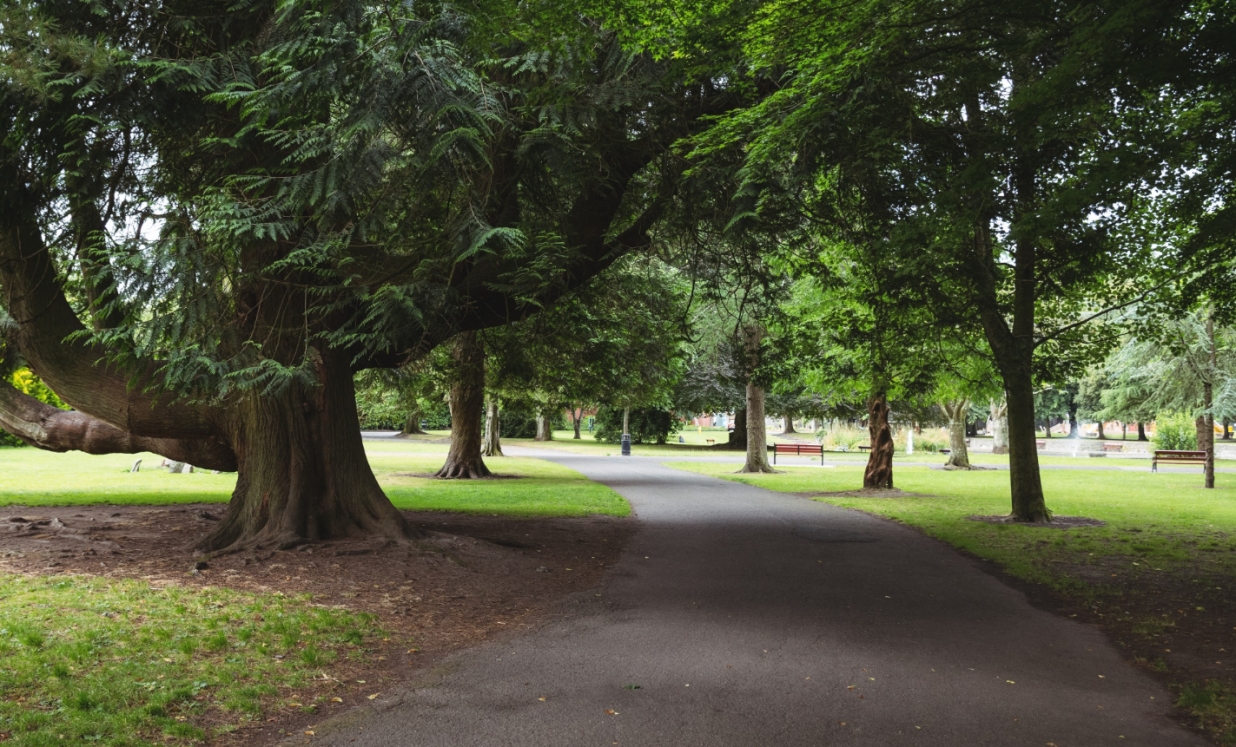 Wrocławski plan na zazielenienie: nowy park wśród rosnących osiedli