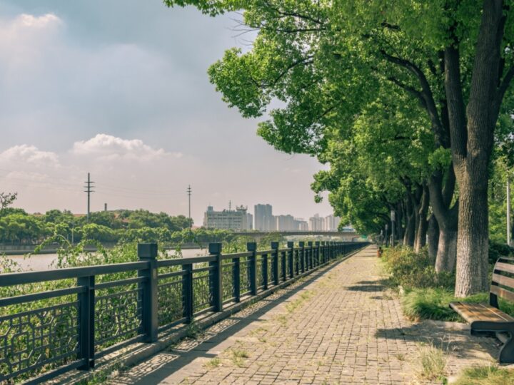 Przeobrażenie ulicy Ruskiej we Wrocławiu: Więcej zieleni w mieście