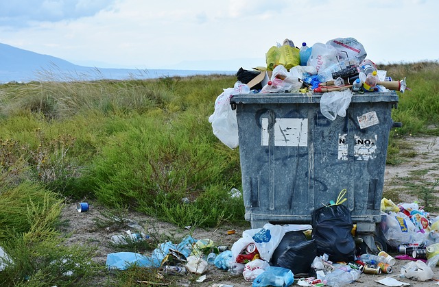 Odbiór odpadów od firm- jak zorganizować? Kontener na gruz Wrocław