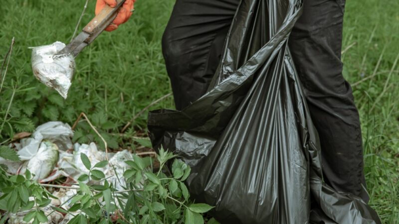 Ekosystem alarmuje: Niewłaściwa segregacja śmieci może prowadzić do podwyżek opłat