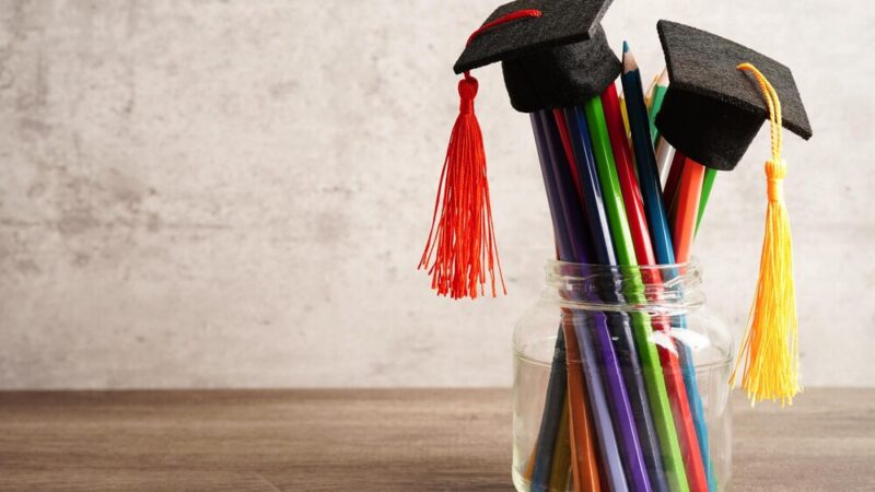 Rekrutacja 2025/2026 we Wrocławiu: Które kierunki zdobyły serca studentów?