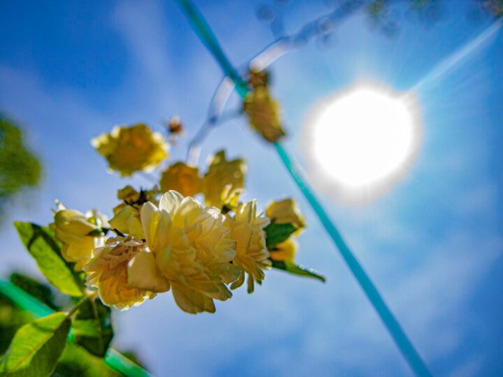 Wrocław 20.08.2025: Słoneczny dzień z temperaturą 28°C! Sprawdź prognozę!