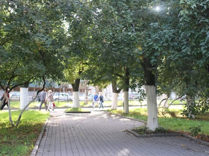 Wrocław ożywi Ruska! Nowa zieleń i rewitalizacja jednej z kluczowych ulic Starego Miasta