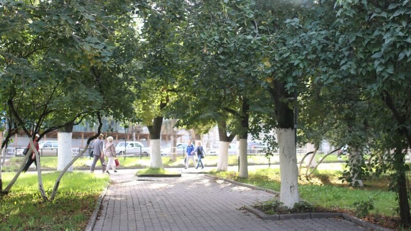 Wrocław ożywi Ruska! Nowa zieleń i rewitalizacja jednej z kluczowych ulic Starego Miasta
