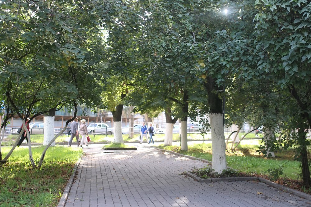 Wrocław ożywi Ruska! Nowa zieleń i rewitalizacja jednej z kluczowych ulic Starego Miasta