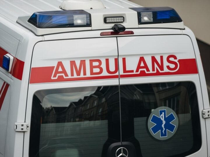 Policyjne psy z Wrocławia w akcji: szkolenie w Tatrach z ratownikami TOPR