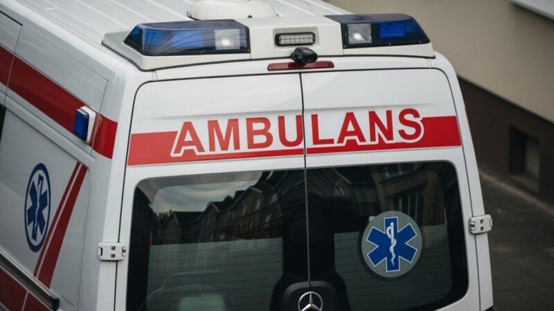 Policyjne psy z Wrocławia w akcji: szkolenie w Tatrach z ratownikami TOPR