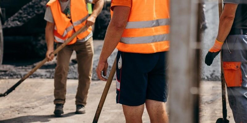 Wrocław zyska nową trasę spacerową przez bobrowisko – przetarg w toku!