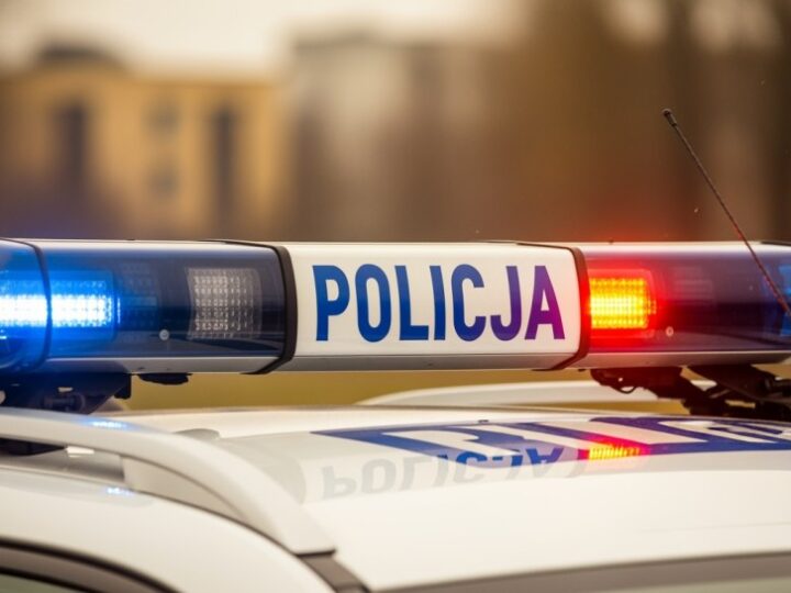 33-latek w rękach policji z 2,5 tysiąca porcji narkotyków ukrytych w drewnie!