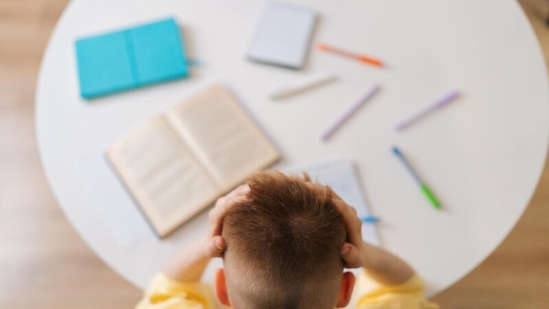 Nowoczesna Szkoła Creatio w Dobrzykowicach: Przyszłość edukacji już dziś!