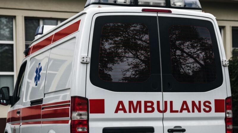 Policjanci w akcji: Ratunek dla rannego daniela na S5!