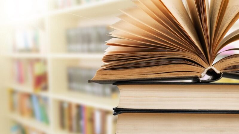 Książki, które mówią o kobietach: odkryj feminizm we wrocławskich bibliotekach!