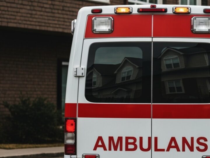 Konie na drodze: jak obywatelska czujność uratowała sytuację przed niebezpieczeństwem