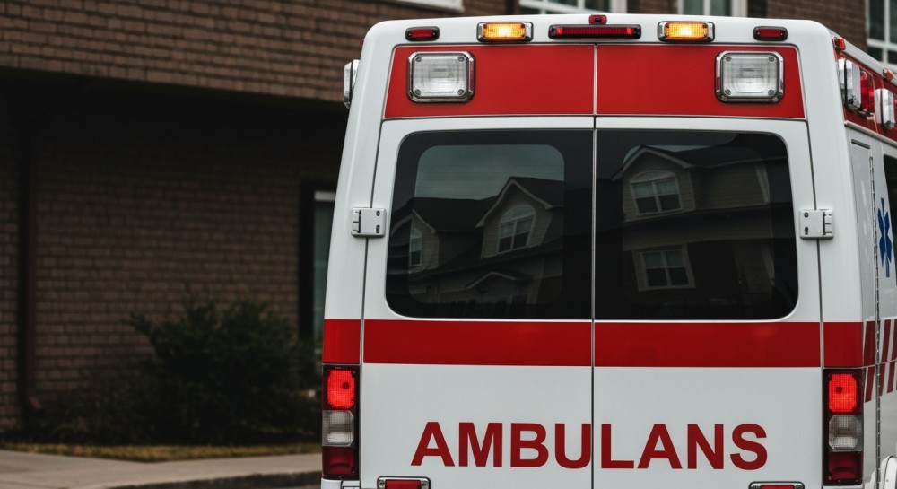 Konie na drodze: jak obywatelska czujność uratowała sytuację przed niebezpieczeństwem