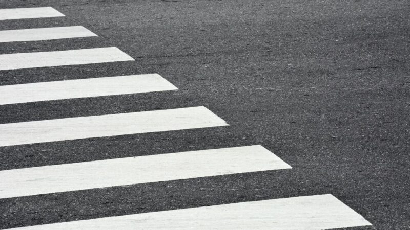 Kto odpowiada za liściasty bałagan na wrocławskich ulicach?