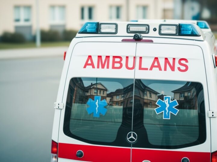 Policjanci ratują sarnę uwięzioną w ogrodzeniu przy komisariacie