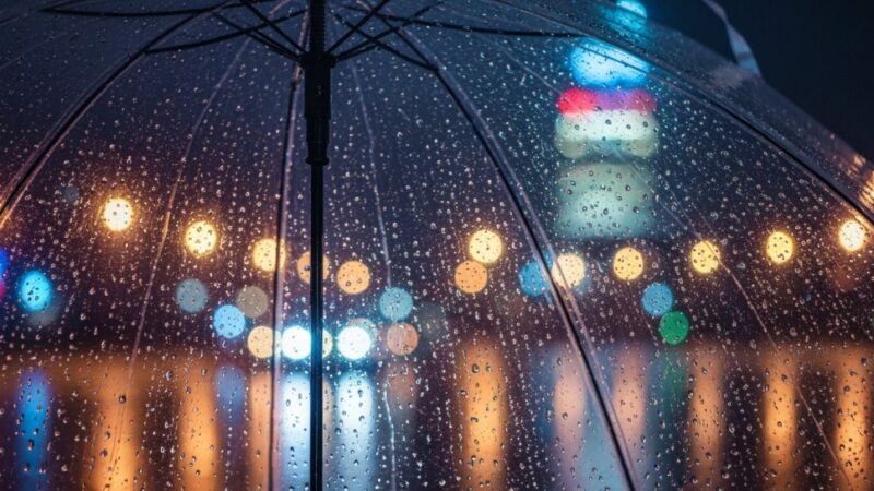 Gęsta mgła nad Wrocławiem – bądź ostrożny na drogach!