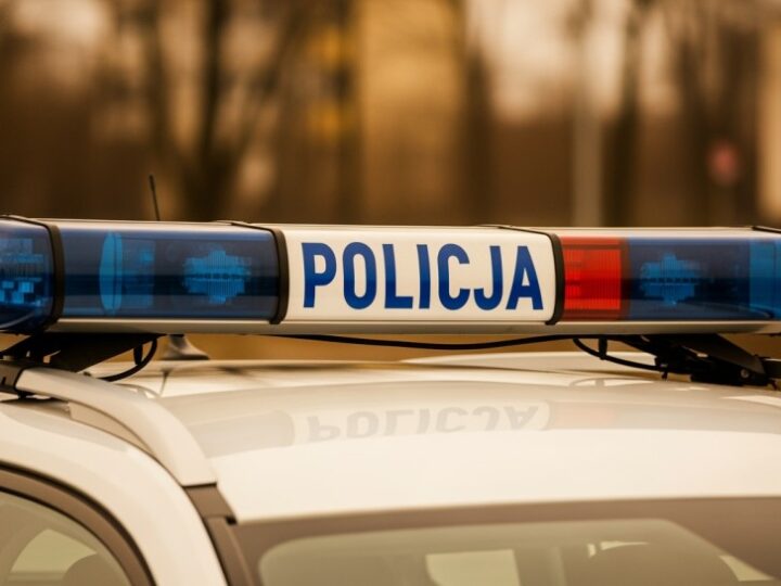 Policja likwiduje nielegalny magazyn tytoniu w Lwówku Śląskim