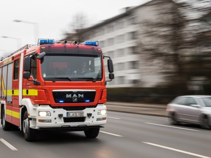 Policjanci z Wałbrzycha ratują papugę seniorki w dramatycznym pożarze