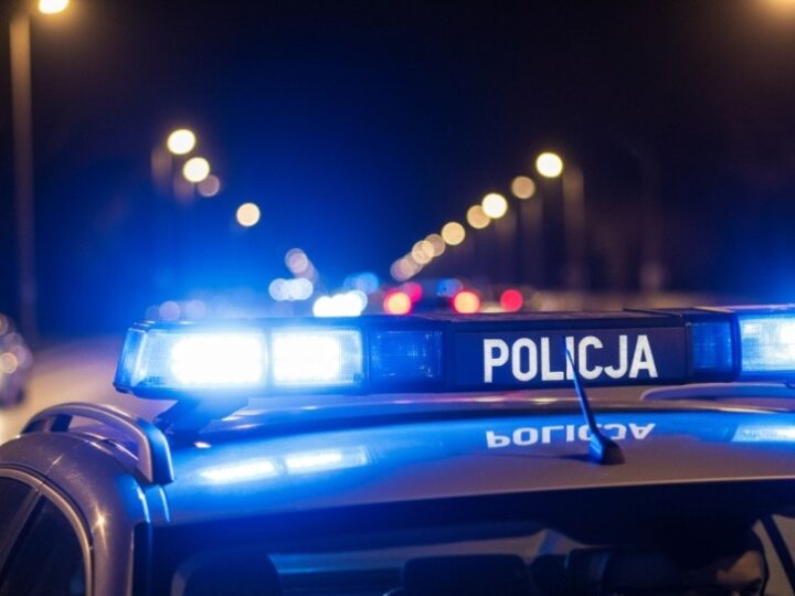 Mistrz oszustw internetowych aresztowany: 73 zarzuty na koncie!