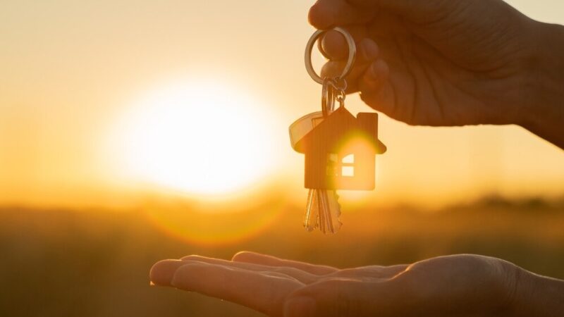 Rewitalizacja Ołbina: Nowe podwórko z zielenią i wygodą wkrótce na horyzoncie!