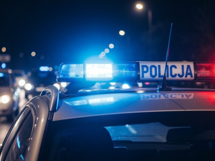 Myszołów w tarapatach uratowany przez policjantów w Lubinie