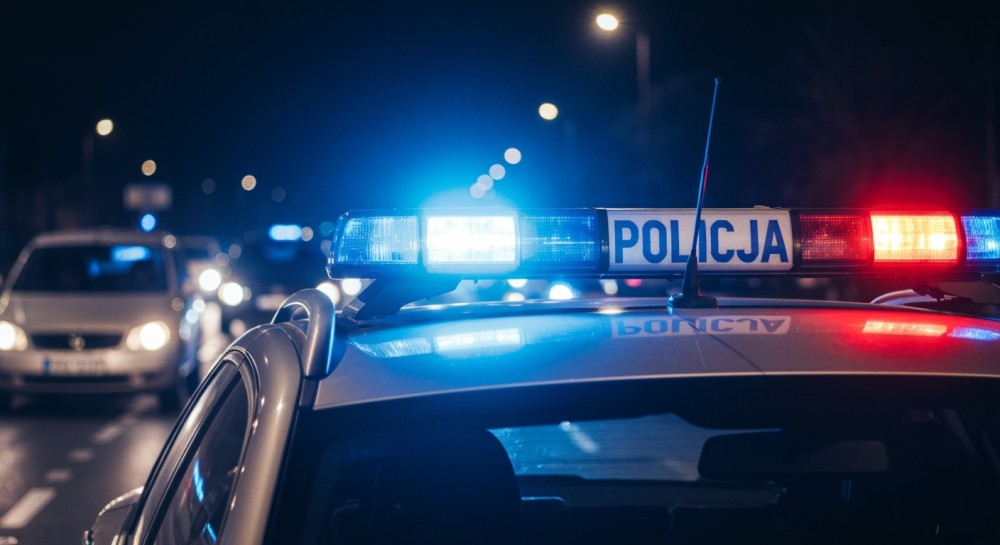 Myszołów w tarapatach uratowany przez policjantów w Lubinie