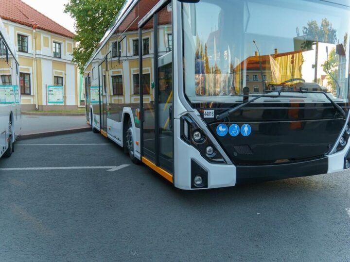 Ninia z Wrocławia: Od nauczycielki muzyki do kierowcy autobusu!