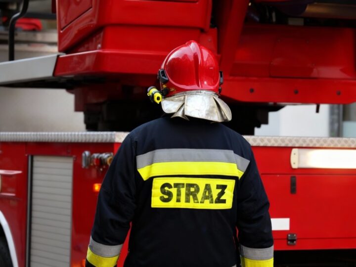 Strażacy w akcji: Bohaterskie uratowanie psa z nory przy Odrze!