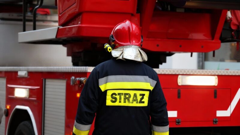 Strażacy w akcji: Bohaterskie uratowanie psa z nory przy Odrze!