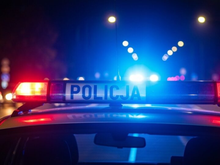 Zatrzymanie dwóch przestępców w jednym miejscu: Europejski Nakaz Aresztowania i wyrok czekający na odsiadkę