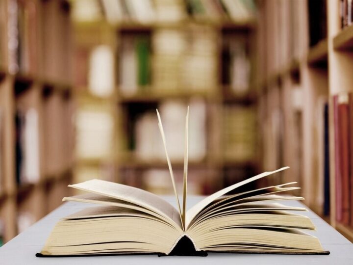 Literacka Podróż z Magdaleną Majcher w Domanicach