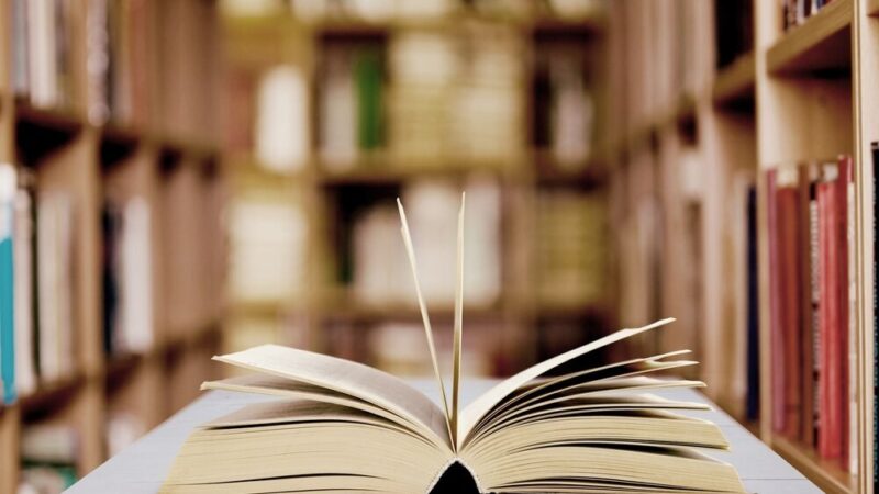 Literacka Podróż z Magdaleną Majcher w Domanicach