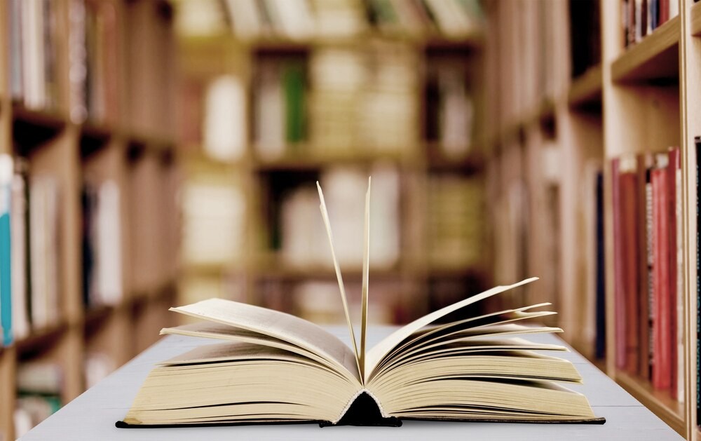 Literacka Podróż z Magdaleną Majcher w Domanicach