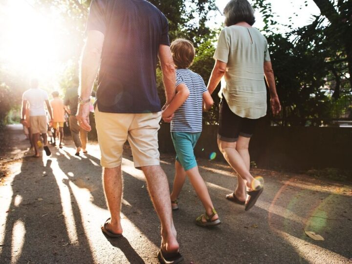 Wrocławskie schronisko poszukuje wolontariuszy do weekendowych spacerów z psami