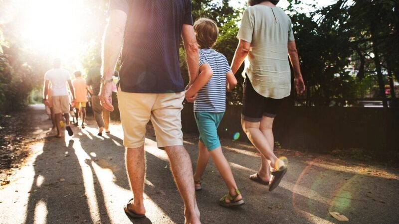 Wrocławskie schronisko poszukuje wolontariuszy do weekendowych spacerów z psami