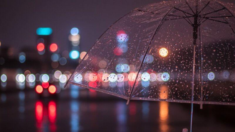 Pogodowe zawirowania we Wrocławiu: Marzec przynosi zimowe niespodzianki