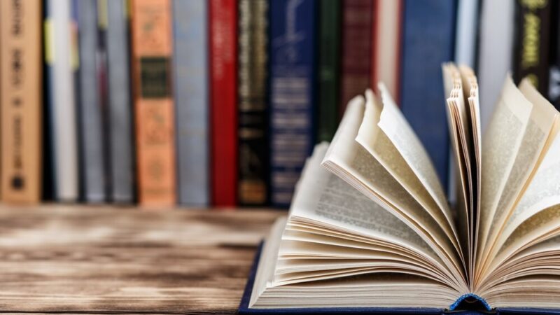 Anna Jadowska: Reżyserka z Wrocławia zaskakuje literackim debiutem