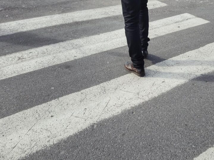 Pies na drodze: Szybka akcja ratuje życie czworonoga!