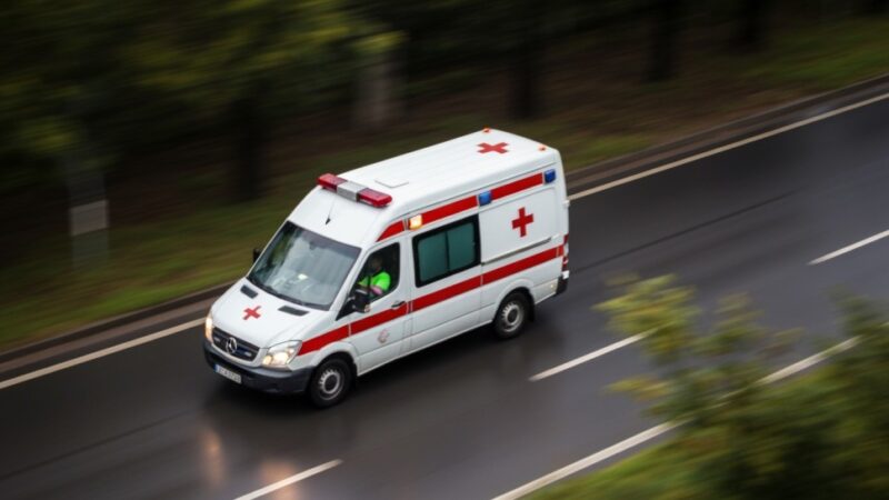 Wrocławscy ratownicy wysokościowi w akcji: intensywne szkolenie w Czechach