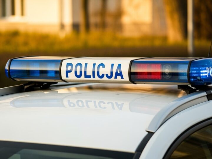 Lubańscy policjanci rozbili siatkę narkotykową: zatrzymani przestępcy i ogromne ilości narkotyków