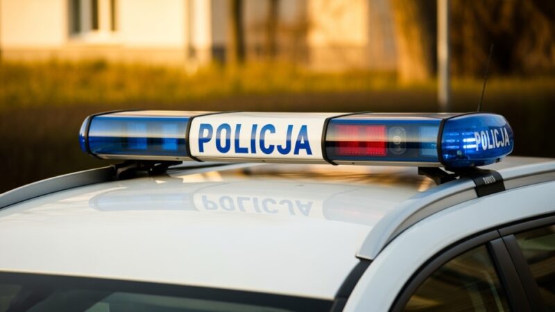 Lubańscy policjanci rozbili siatkę narkotykową: zatrzymani przestępcy i ogromne ilości narkotyków